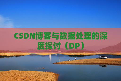 CSDN博客与数据处理的深度探讨（DP）