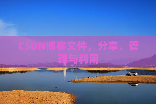 CSDN博客文件，分享、管理与利用